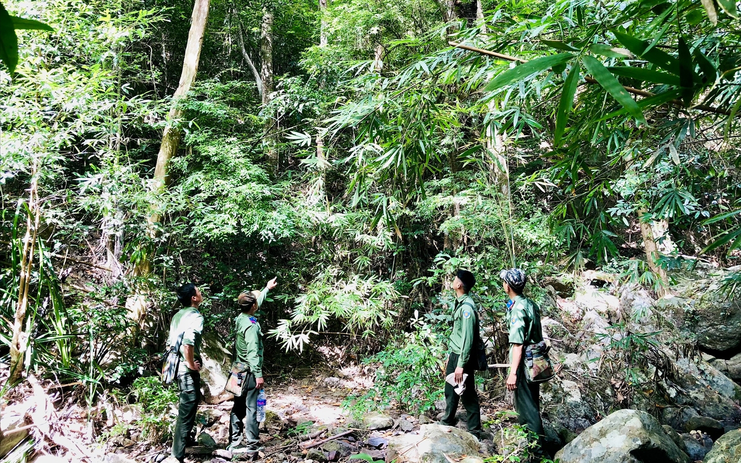 Gác niềm riêng, giữ rừng xuyên Tết