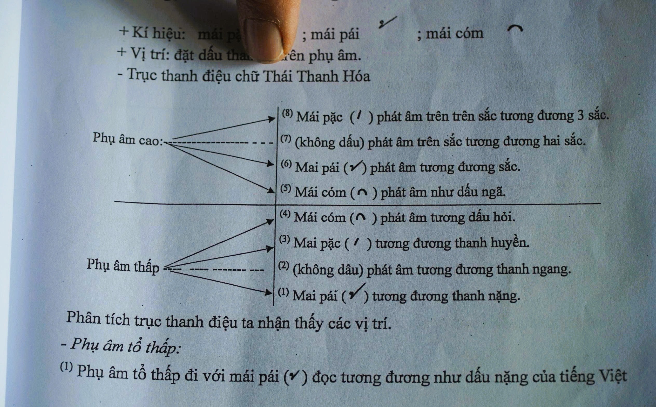 Người giữ hồn chữ Th&aacute;i cổ - Ảnh 4.