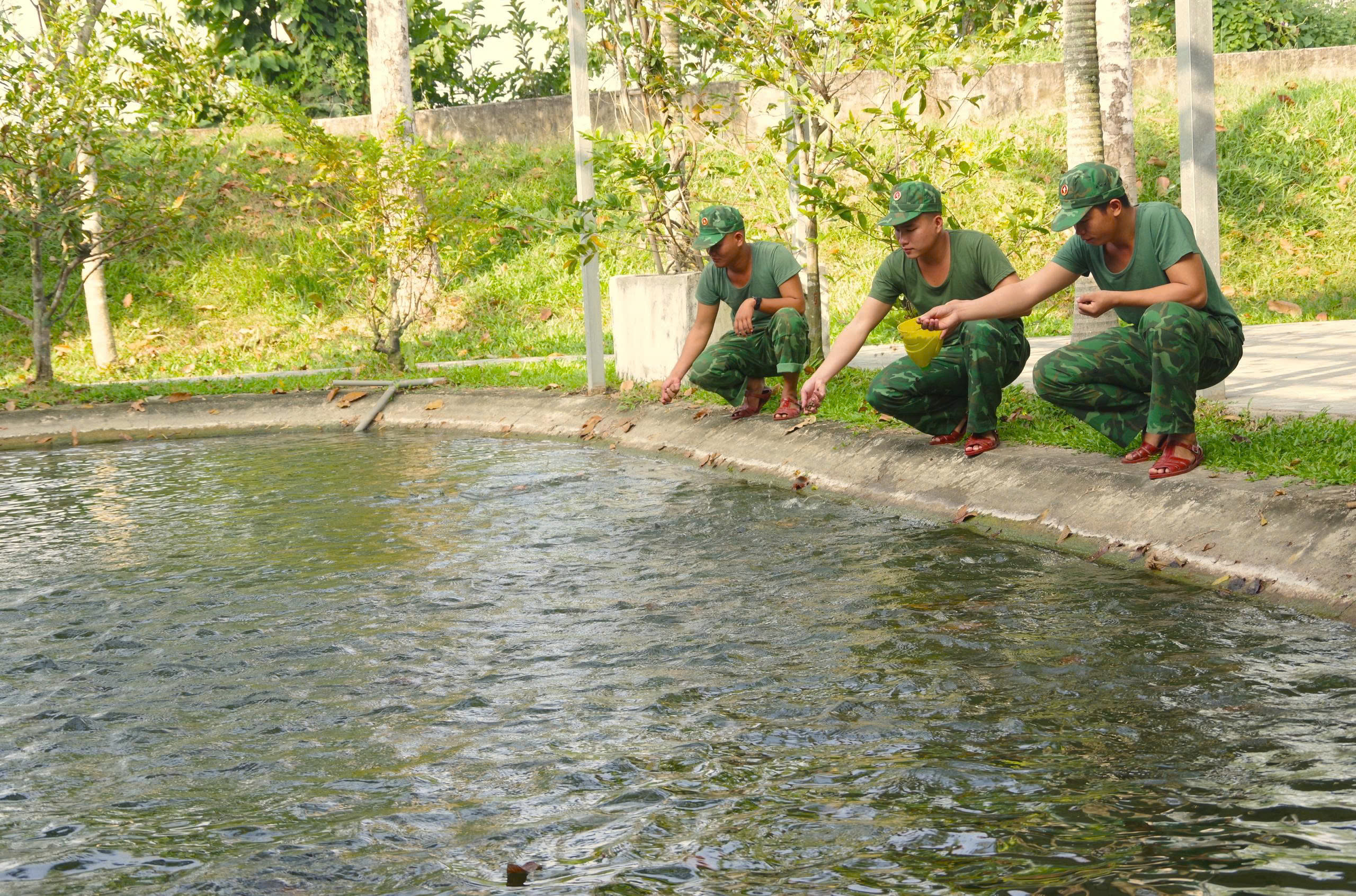 Ấm t&igrave;nh Xu&acirc;n bi&ecirc;n cương ở T&acirc;y Ninh - Ảnh 9.