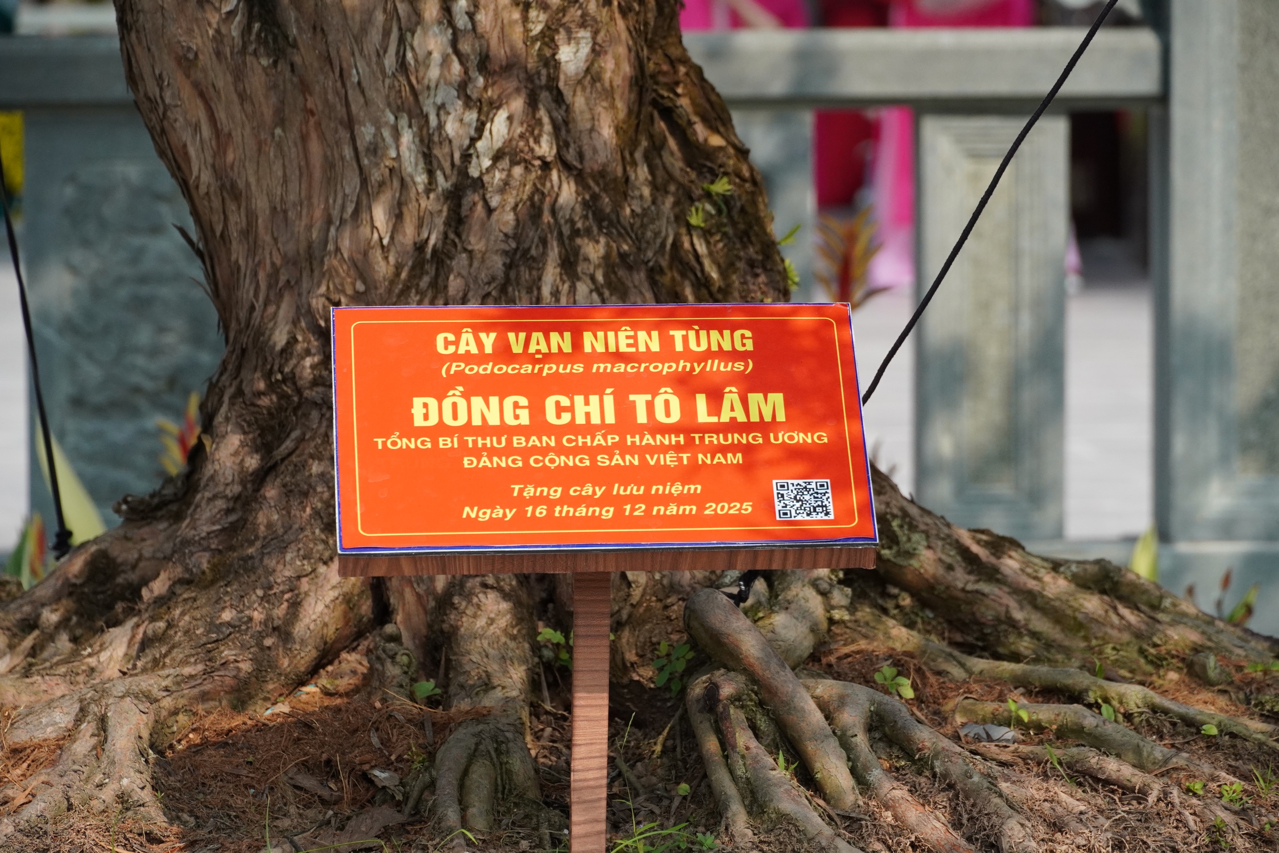 Những &ldquo;địa chỉ đỏ&rdquo; kh&ocirc;ng thể bỏ qua khi đến Đồng Th&aacute;p - Ảnh 14.