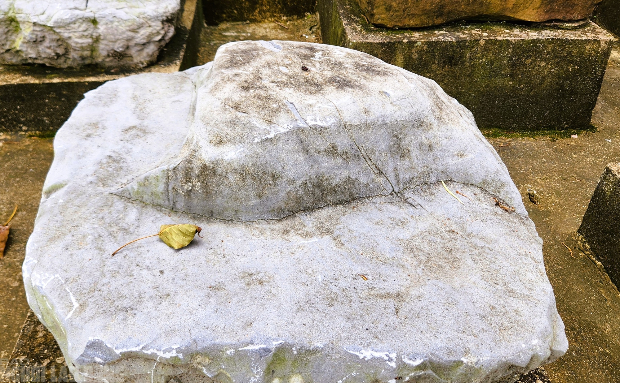 Kỳ bí những chân tảng đá hơn 600 năm ở Thành nhà Hồ - Ảnh 6.