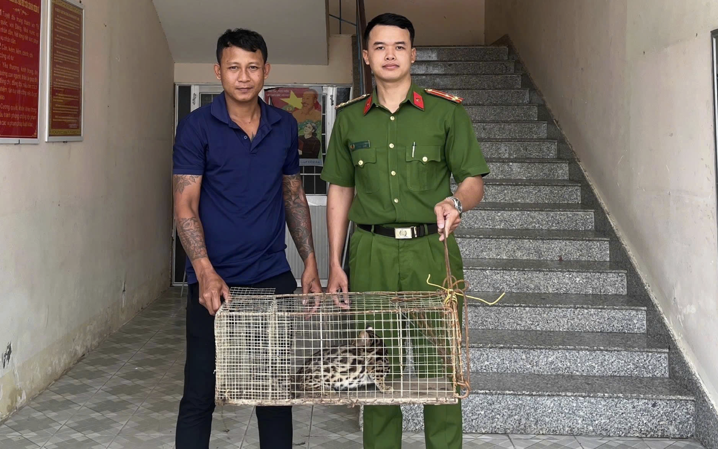 Vĩnh Long: Phát hiện mèo rừng quý hiếm, người dân liền giao nộp công an