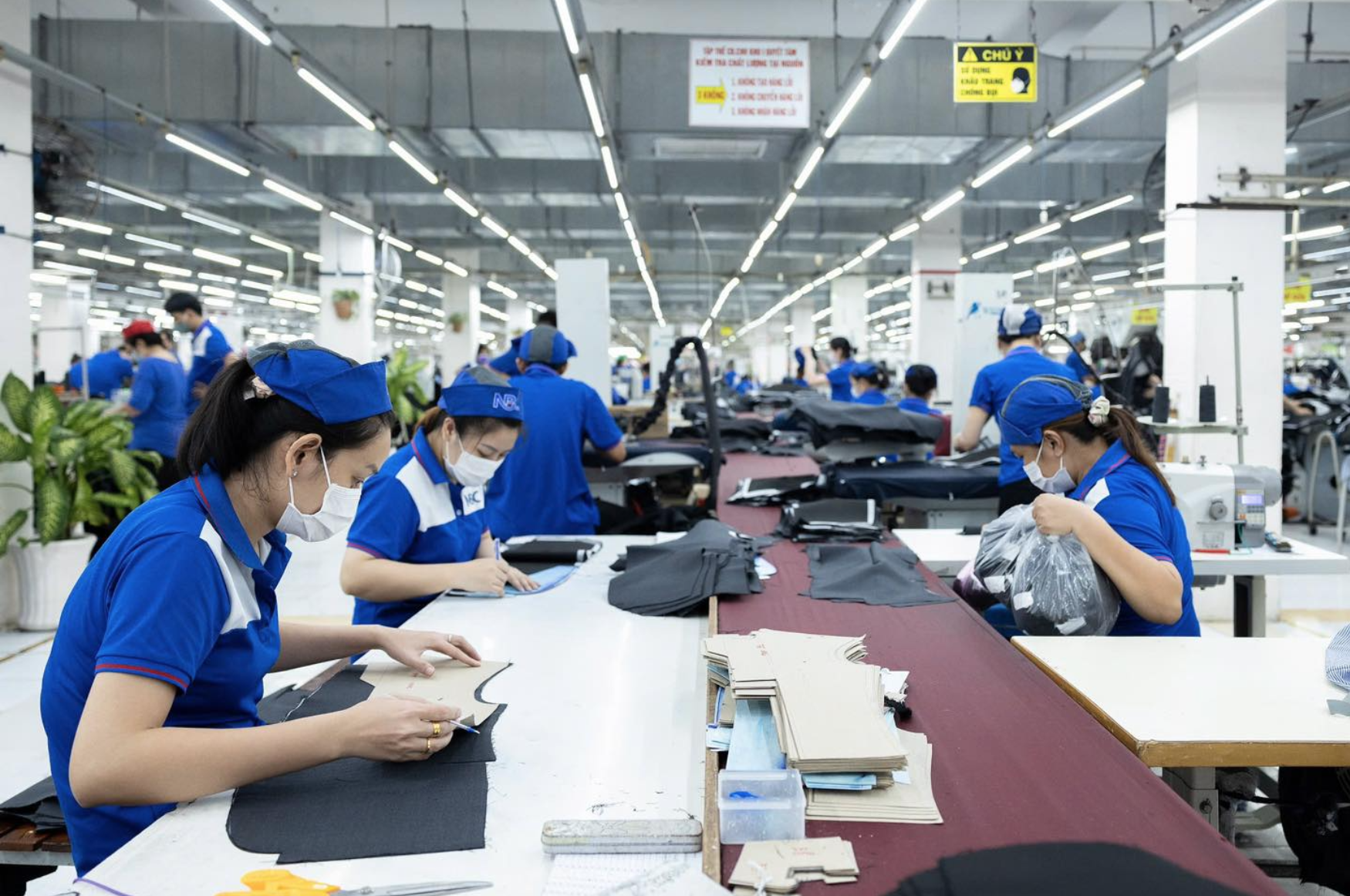 Nhìn lại một năm thăng trầm thị trường việc làm - Ảnh 1.