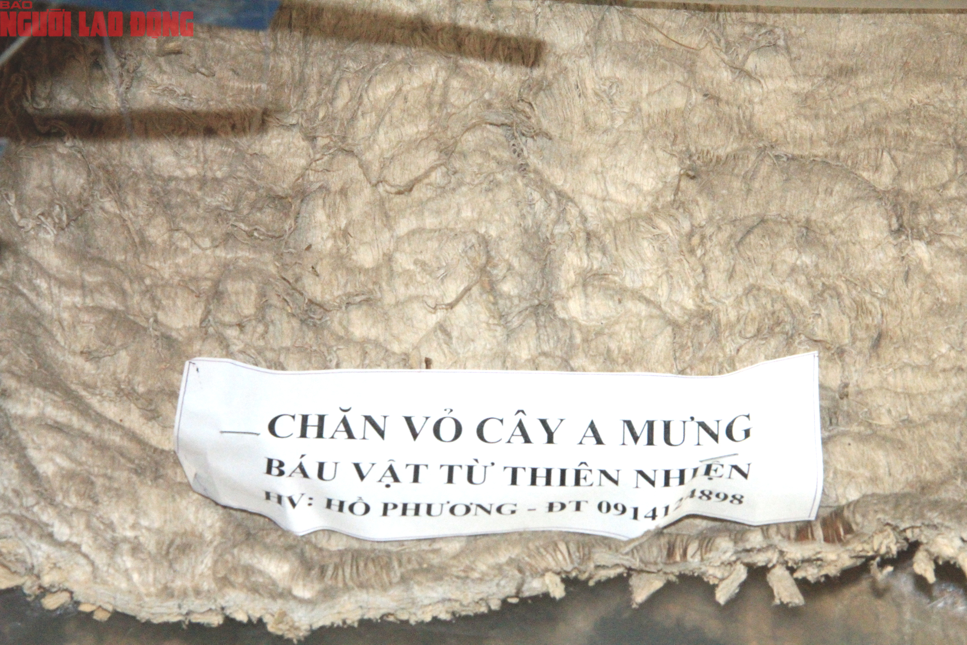 Trang phục cổ xưa bằng vỏ cây A - mưng của nhà nghiên cứu Hồ Phương - Ảnh 9.