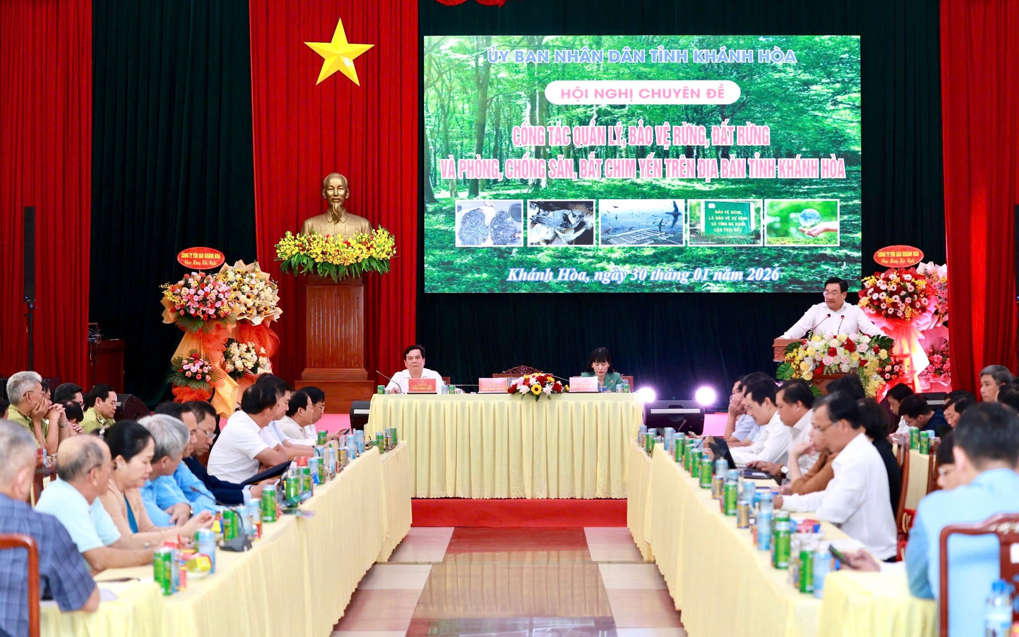 Quyết liệt ngăn chặn tình trạng săn bắt chim yến trái phép - Ảnh 3.