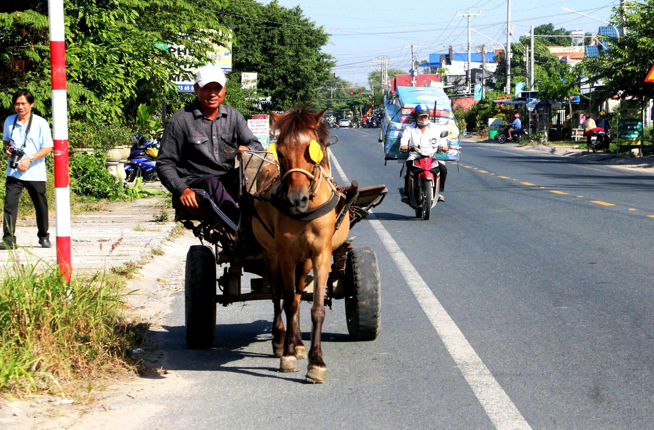Những người n&agrave;i ngựa cuối c&ugrave;ng ở v&ugrave;ng Bảy N&uacute;i: Di sản văn h&oacute;a đang dần biến mất - Ảnh 4.