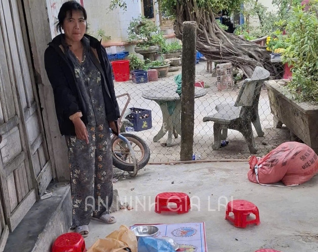 Bắt giữ người phụ nữ đánh bạc bầu cua ăn tiền tại gia Lai năm 2026 - Ảnh 1.