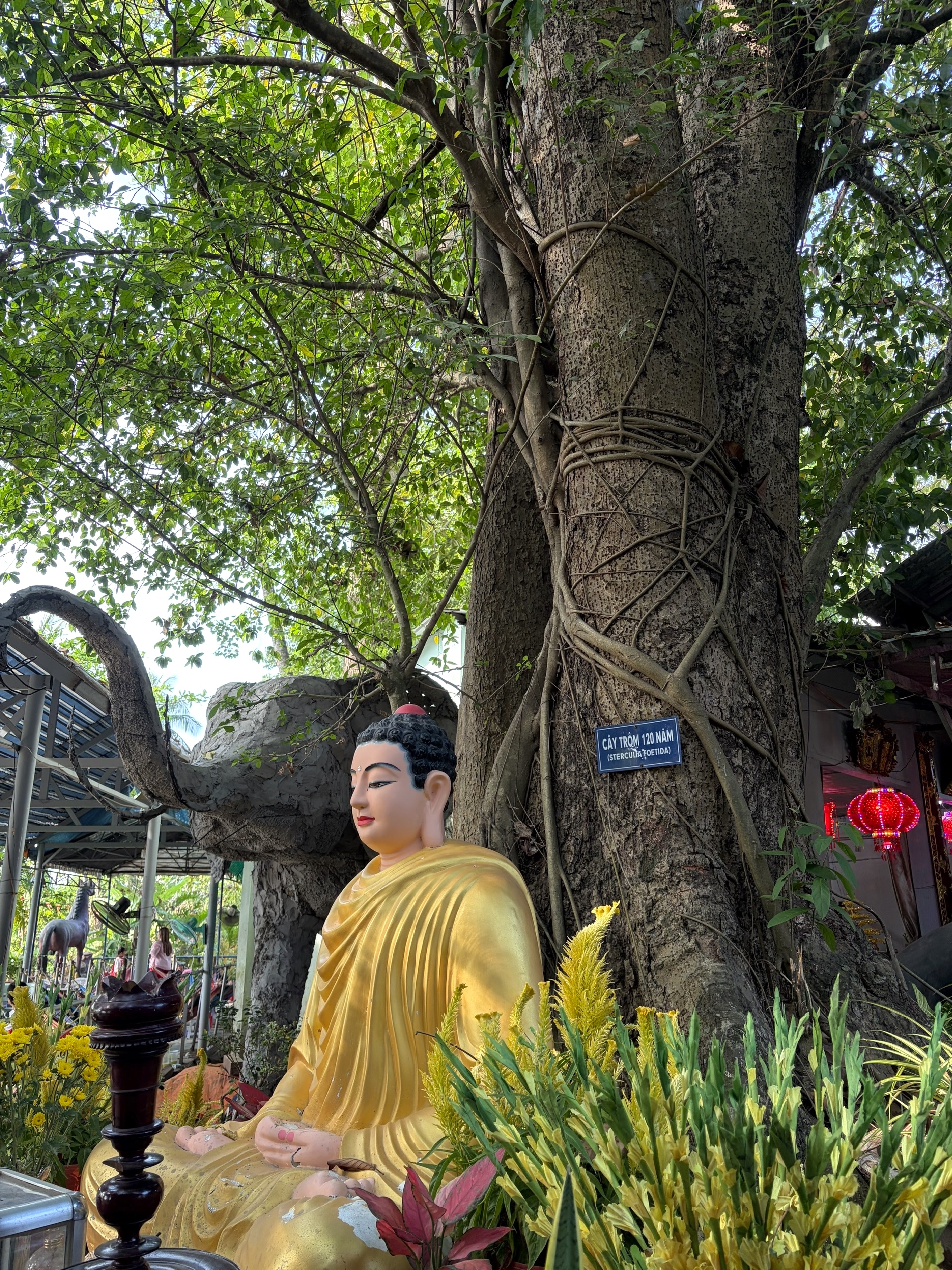 Đầu năm, v&atilde;n cảnh ch&ugrave;a tr&ecirc;n c&ugrave; lao s&ocirc;ng Đồng Nai - Ảnh 18.