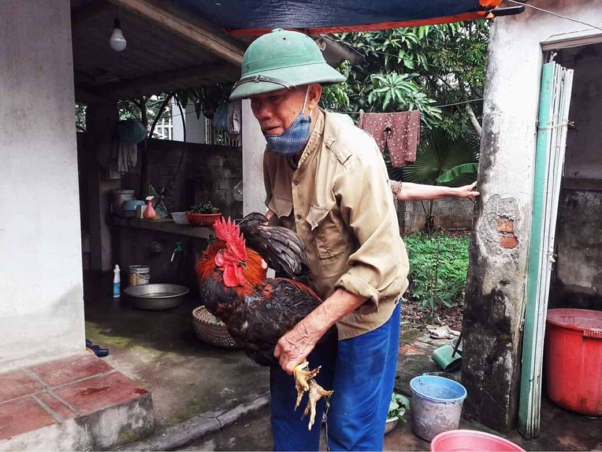 Cuộc thi "Tết xanh": Từ hương lá dong xưa đến khát vọng Tết Net Zero thời nay - Ảnh 3.
