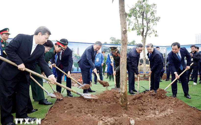 TPHCM ph&aacute;t động Tết trồng c&acirc;y 