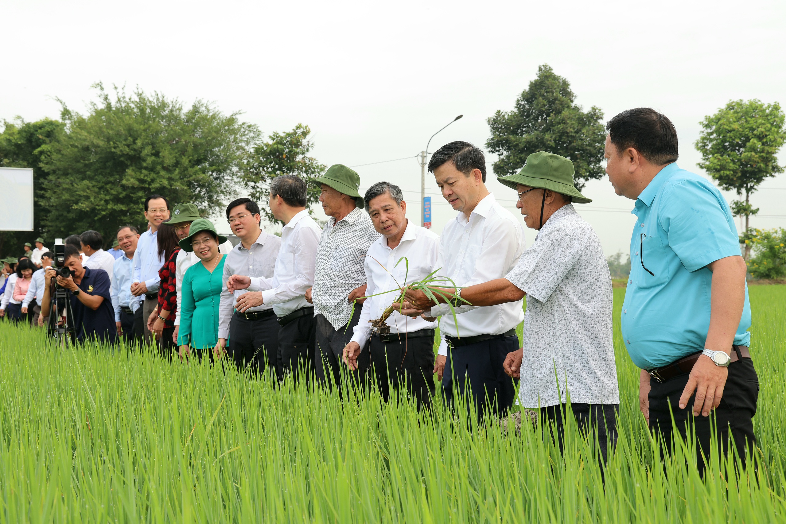 L&atilde;nh đạo TP Cần Thơ ph&aacute;t động "Tết trồng c&acirc;y" v&agrave; thăm đồng đầu năm mới - Ảnh 6.