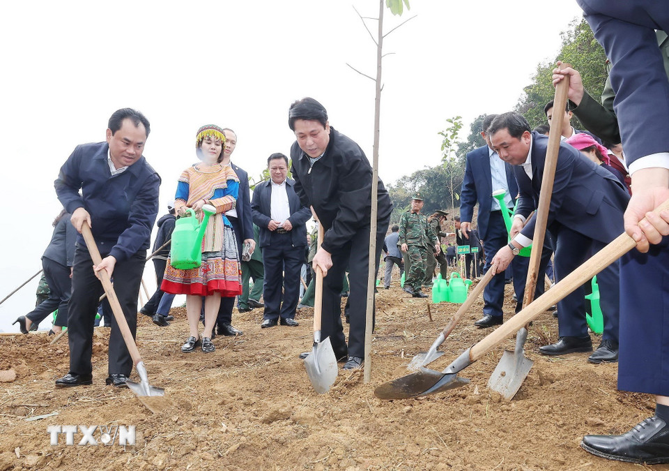 Chủ tịch nước kêu gọi mỗi người dân trở thành một "đại sứ xanh" - Ảnh 1.