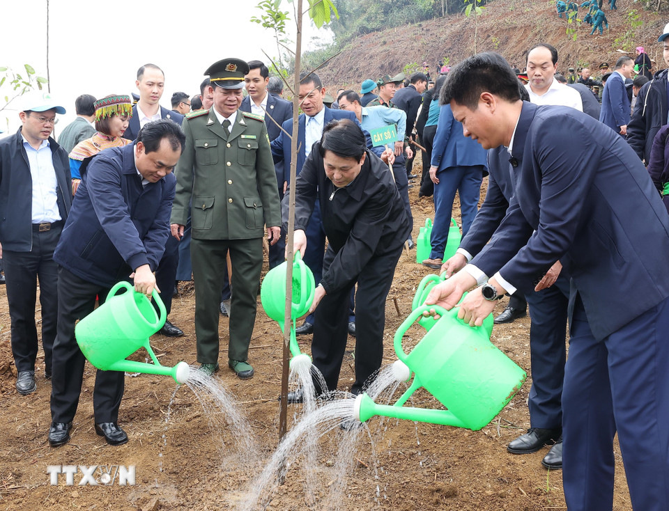 Chủ tịch nước kêu gọi mỗi người dân trở thành một "đại sứ xanh" - Ảnh 2.
