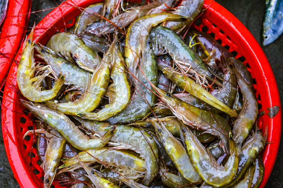 Gần 1 triệu đồng/kg cá khoai, ngư dân hồ hởi "xông biển" ngày đầu năm mới - Ảnh 7.