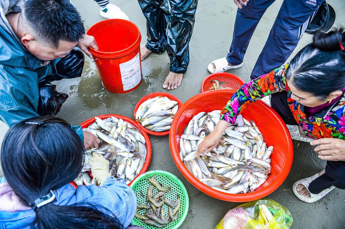 Gần 1 triệu đồng/kg cá khoai, ngư dân hồ hởi "xông biển" ngày đầu năm mới - Ảnh 8.