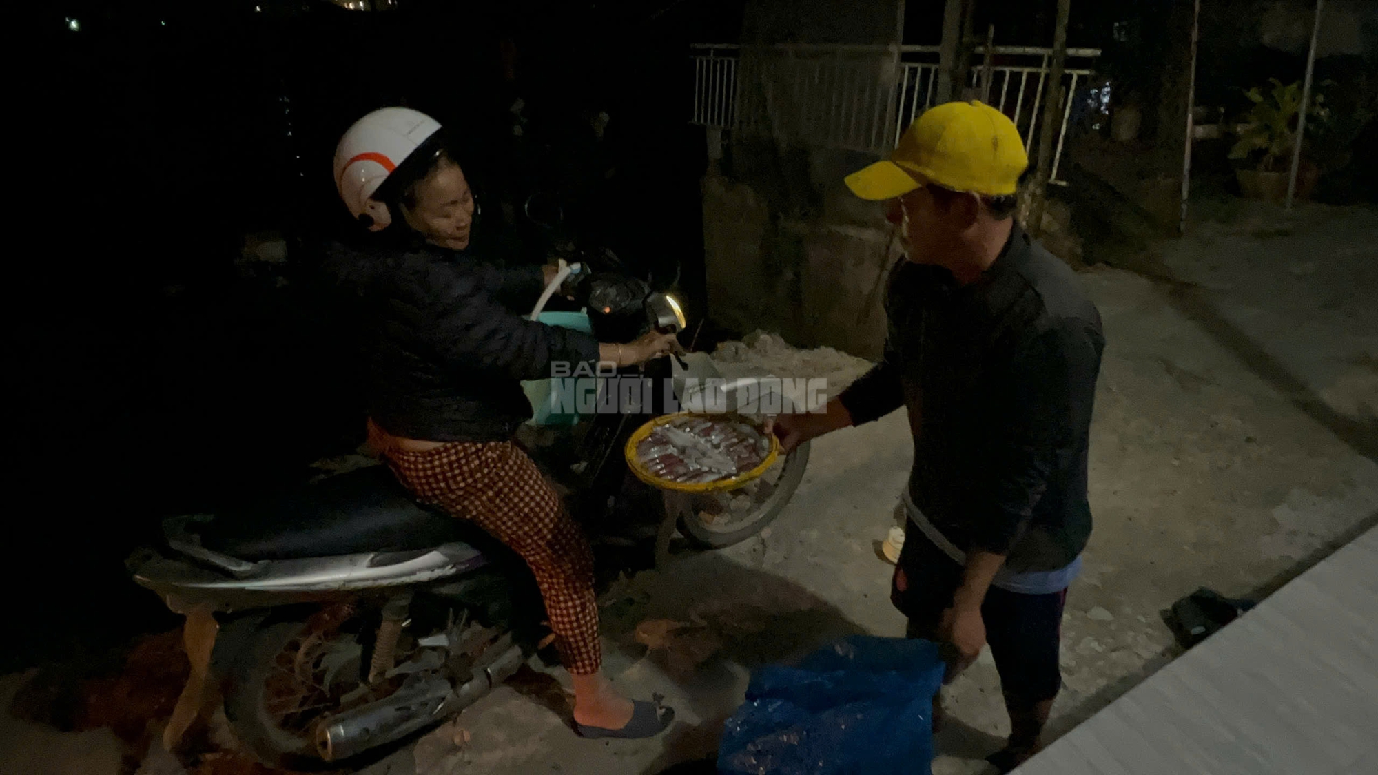 Ngư dân Huế thu tiền triệu từ mực tươi nhờ quản lý IUU hiệu quả năm 2026 - Ảnh 1.