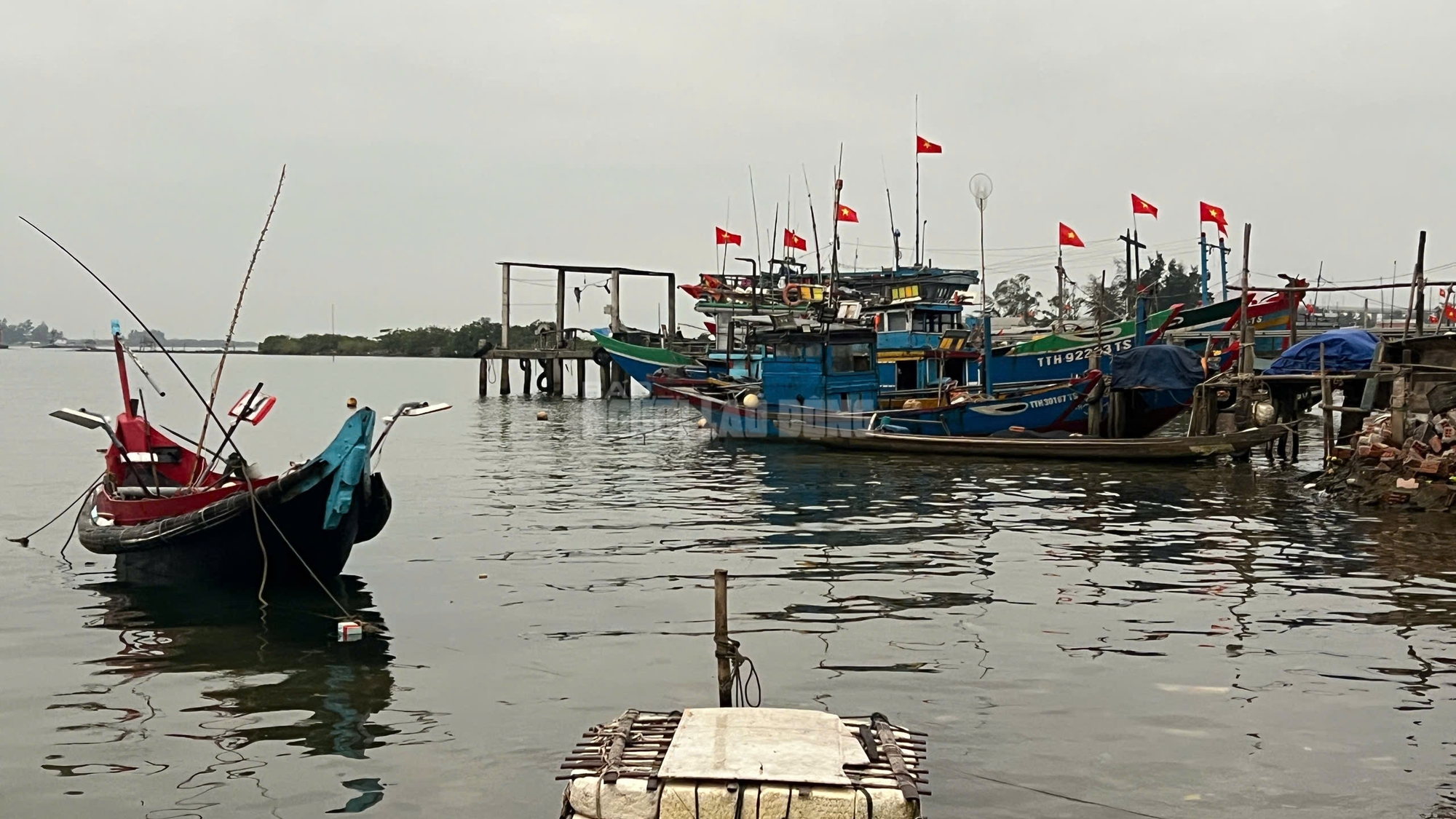 Ngư dân Huế thu tiền triệu từ mực tươi nhờ quản lý IUU hiệu quả năm 2026 - Ảnh 7.