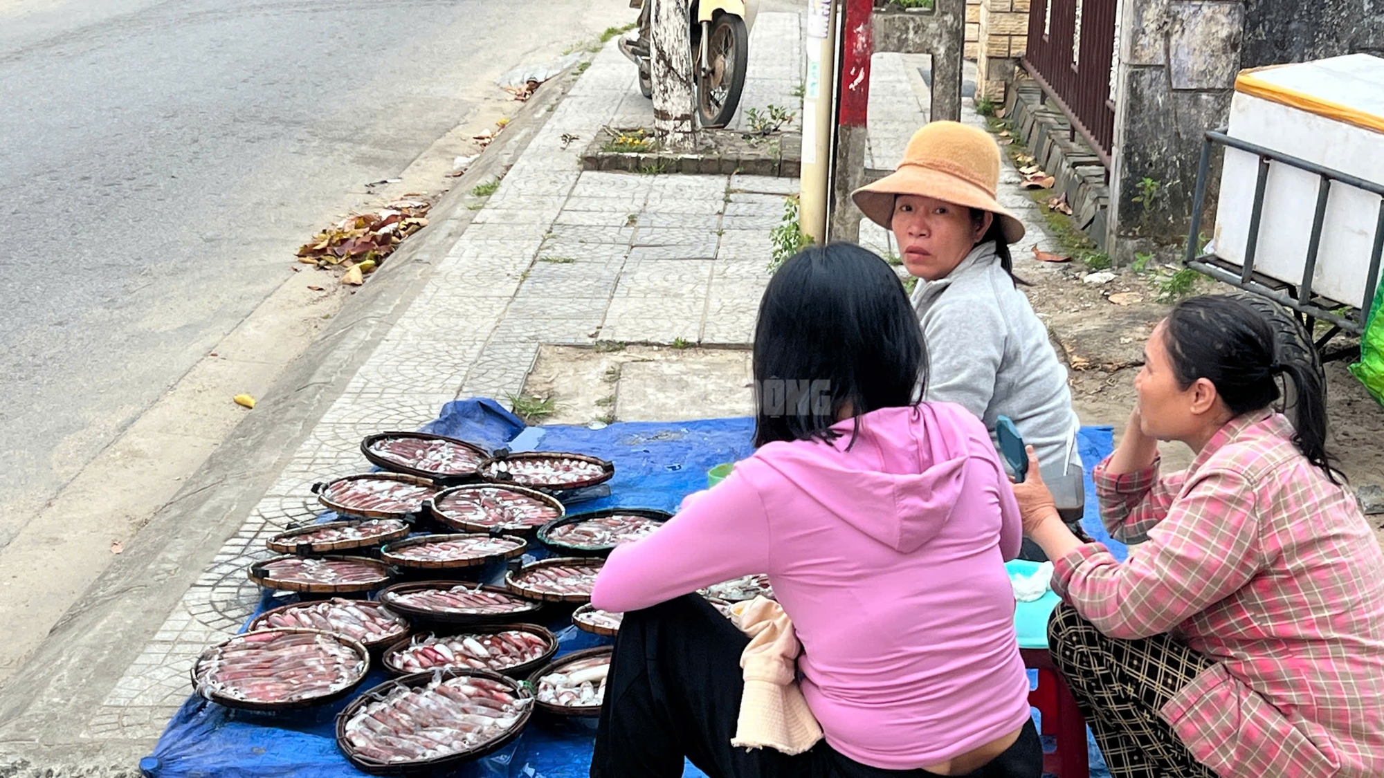 Ngư dân Huế thu tiền triệu từ mực tươi nhờ quản lý IUU hiệu quả năm 2026 - Ảnh 8.