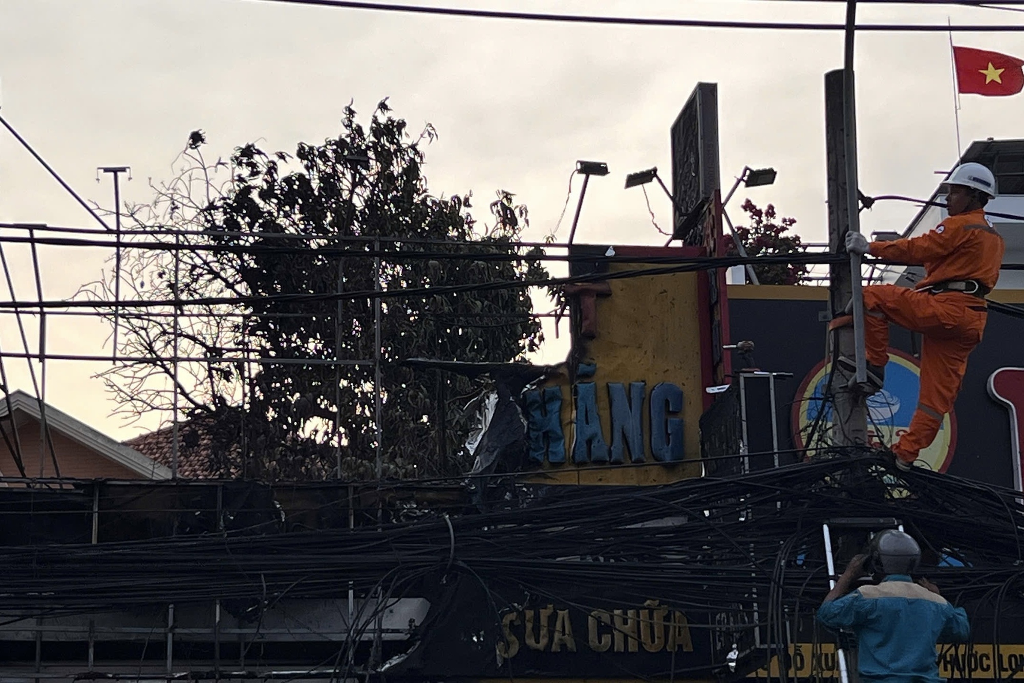 - Ảnh 5.