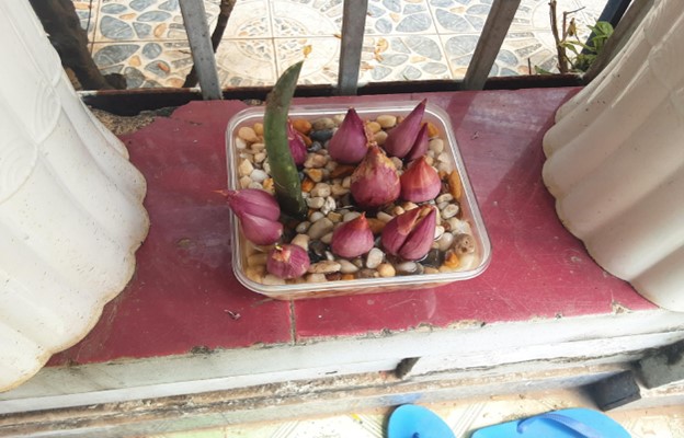 Cuộc thi "Tết xanh": Góc bàn Tết xanh từ những vật dụng bỏ đi - Ảnh 5.