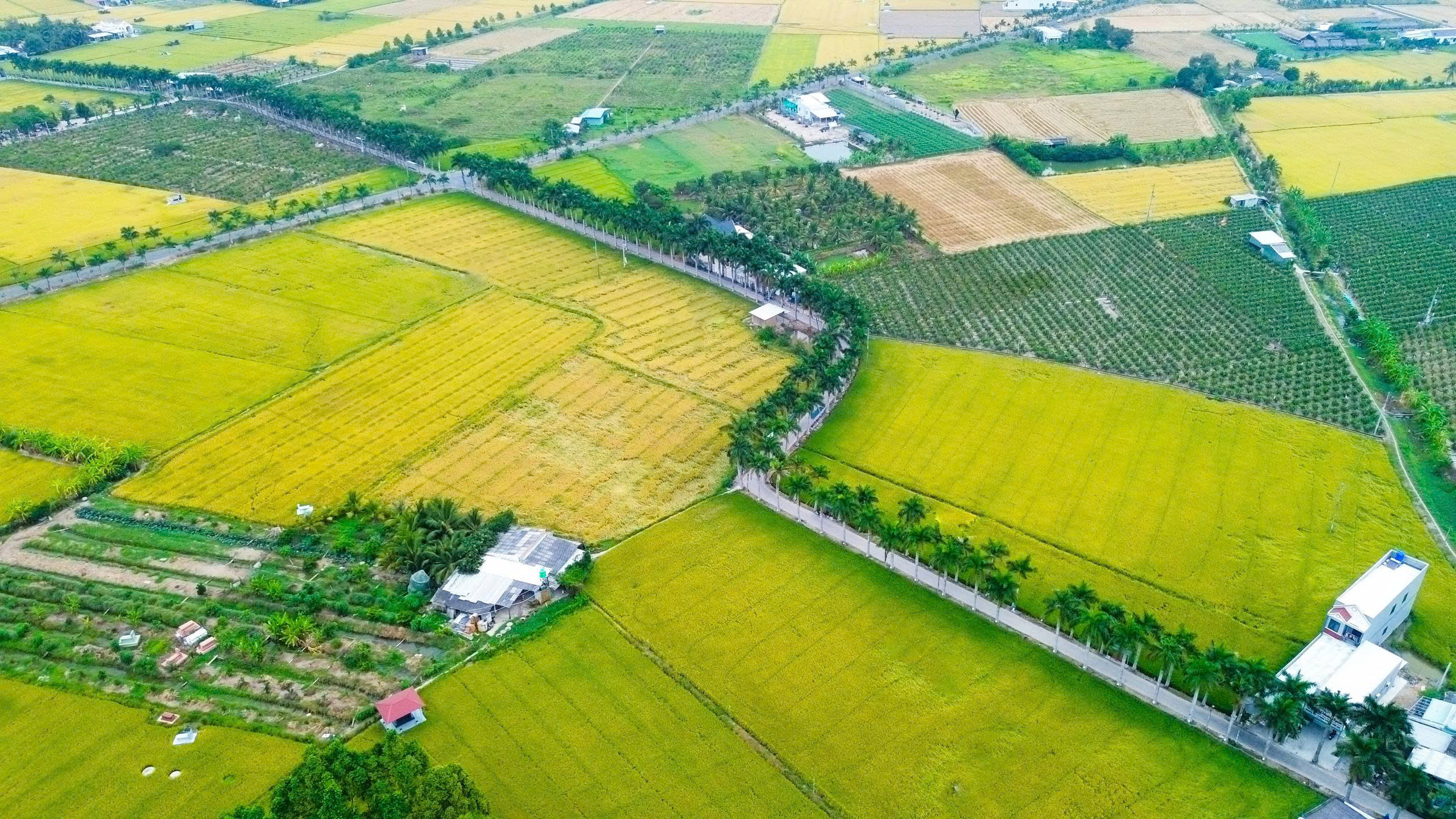 Tây Ninh: Xã Tân Trụ khát vọng bứt phá trong kỷ nguyên mới - Ảnh 4.