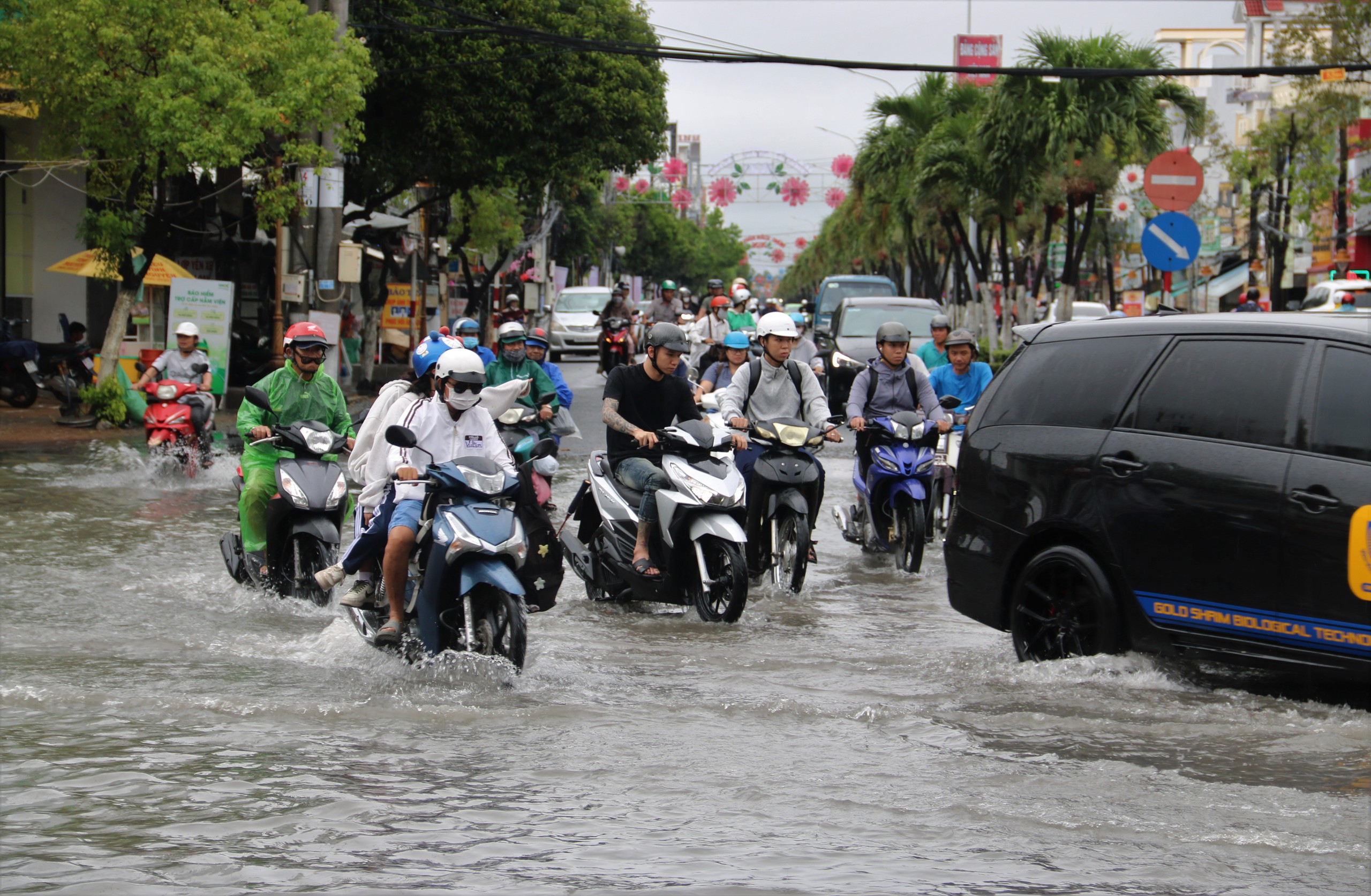 Mưa tr&aacute;i m&ugrave;a g&acirc;y ngập v&agrave; thiệt hại muối ở C&agrave; Mau năm 2026 - Ảnh 1.