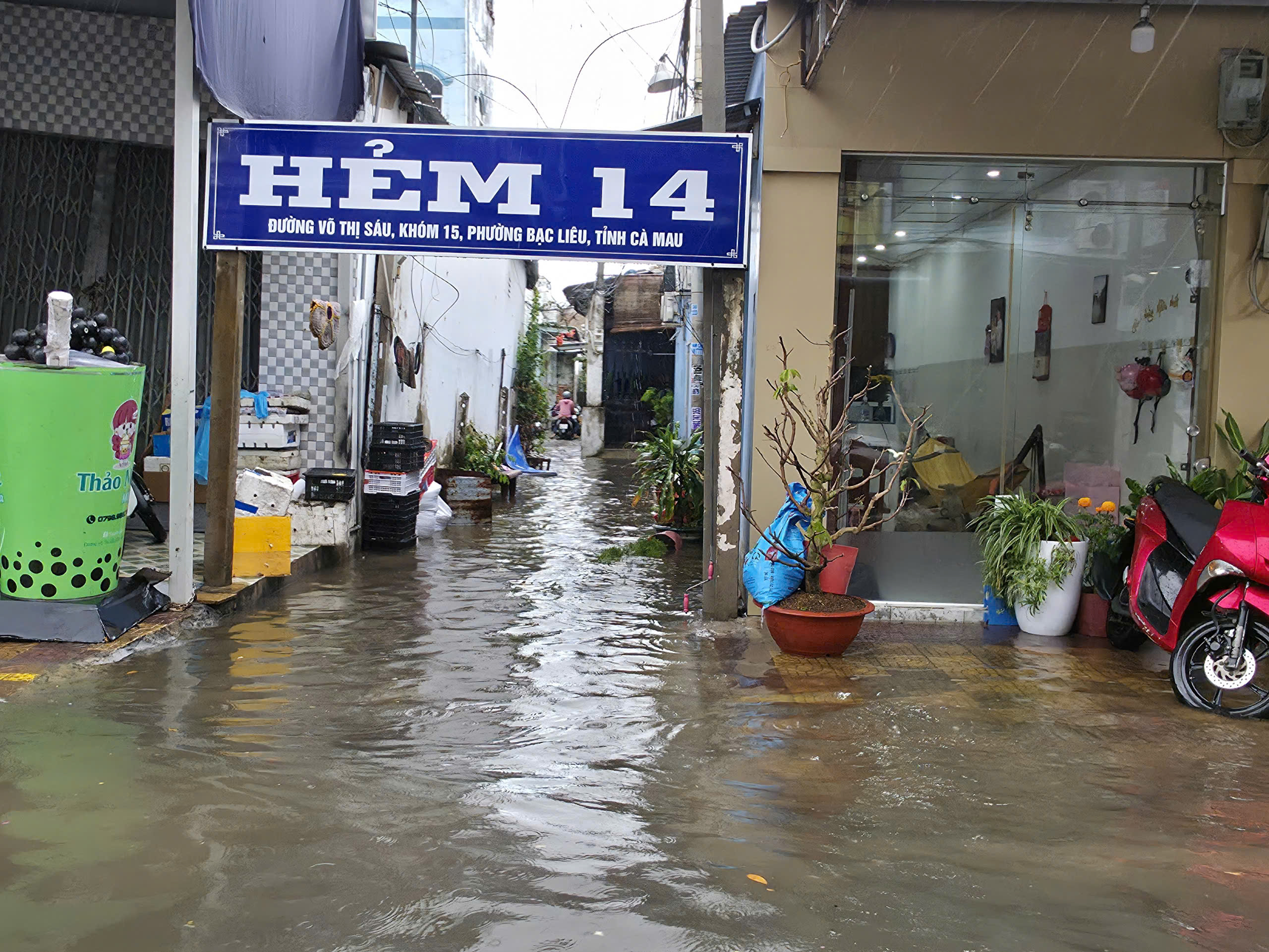 Mưa tr&aacute;i m&ugrave;a g&acirc;y ngập v&agrave; thiệt hại muối ở C&agrave; Mau năm 2026 - Ảnh 10.