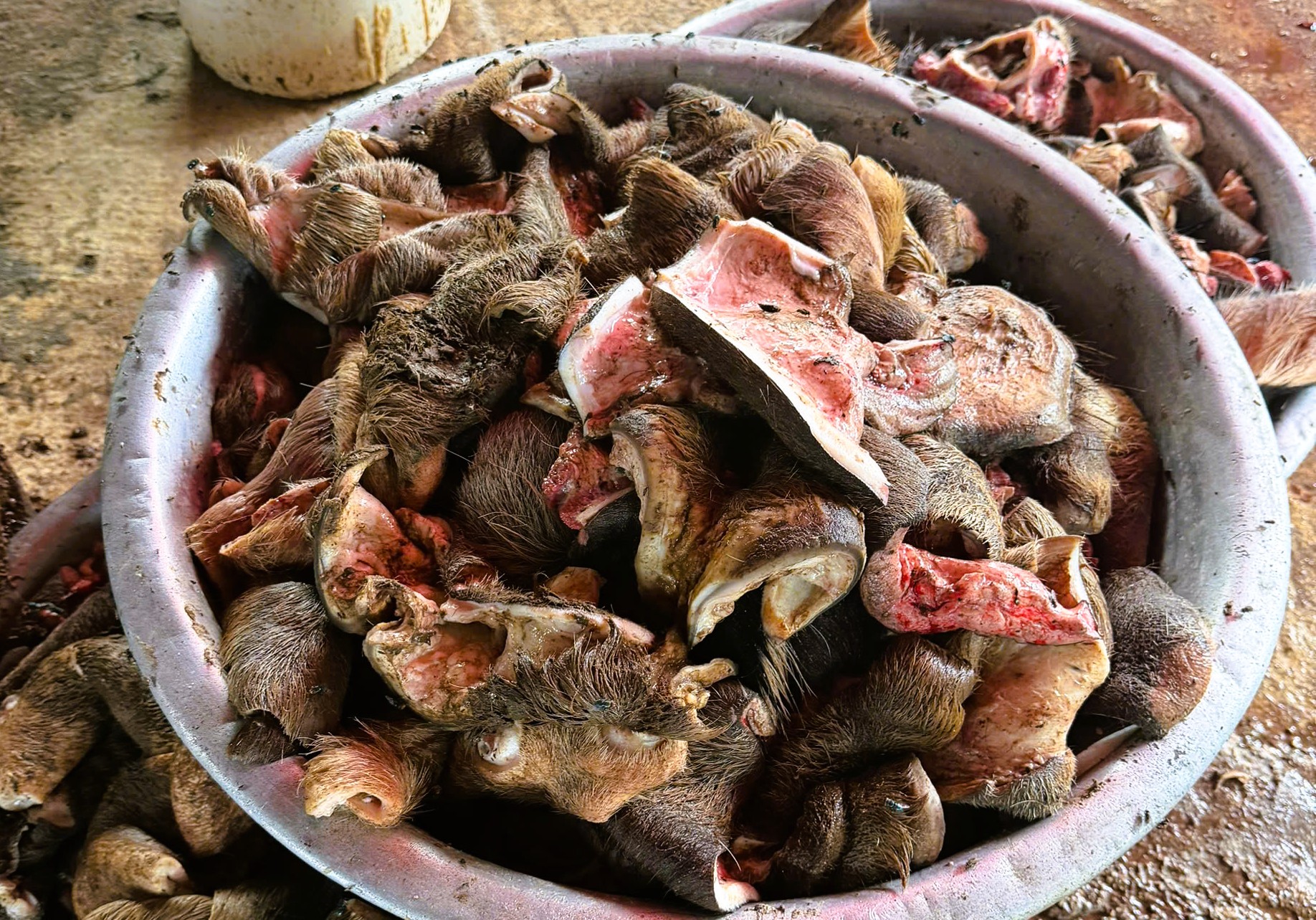 Phát hiện gần 6 tấn chân trâu, bò bốc mùi hôi thối chuẩn bị đưa ra quán nhậu - Ảnh 3.