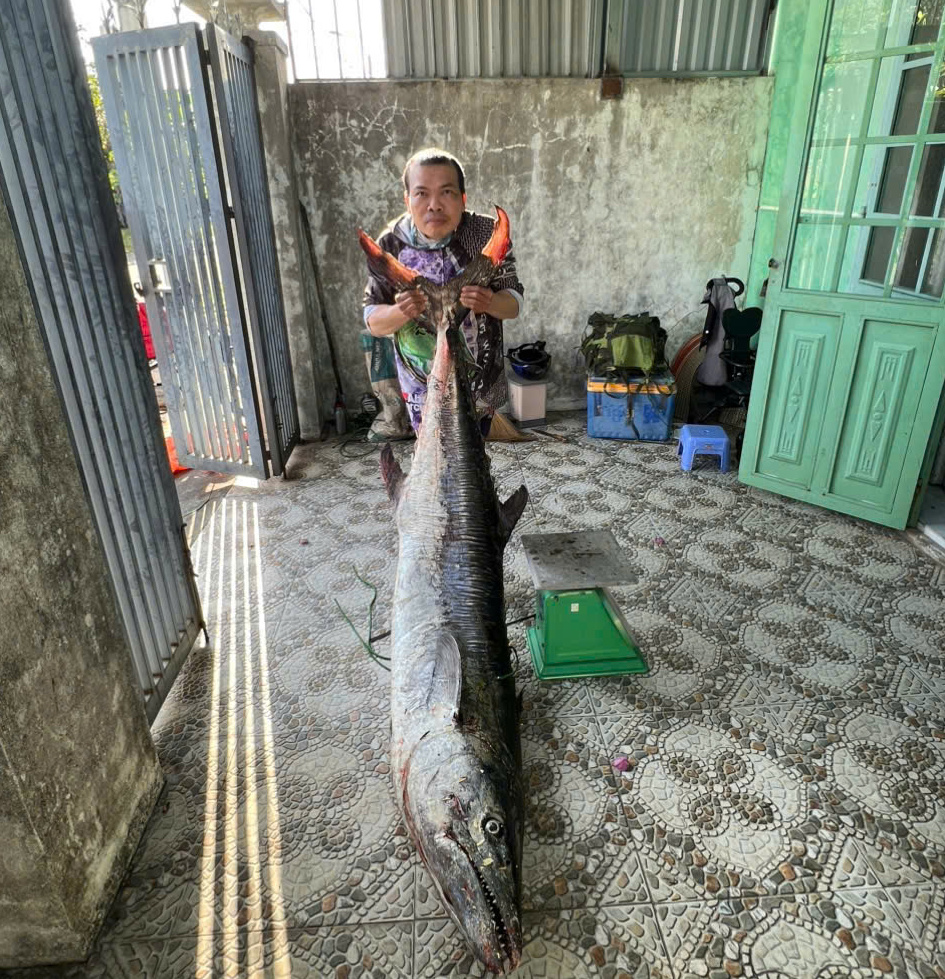 Chiêm ngưỡng cá thu khủng 63kg câu được ở Đà Nẵng tại bán đảo Sơn Trà - Ảnh 3.