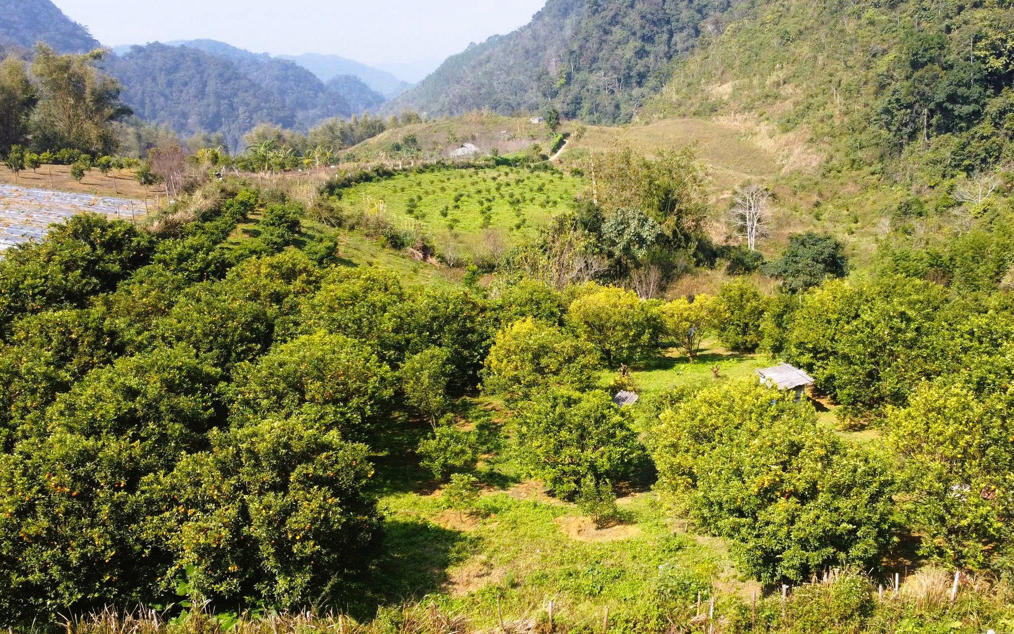 Giá thuê đất công ích quá cao, Thanh Hóa xin ý kiến Trung ương
