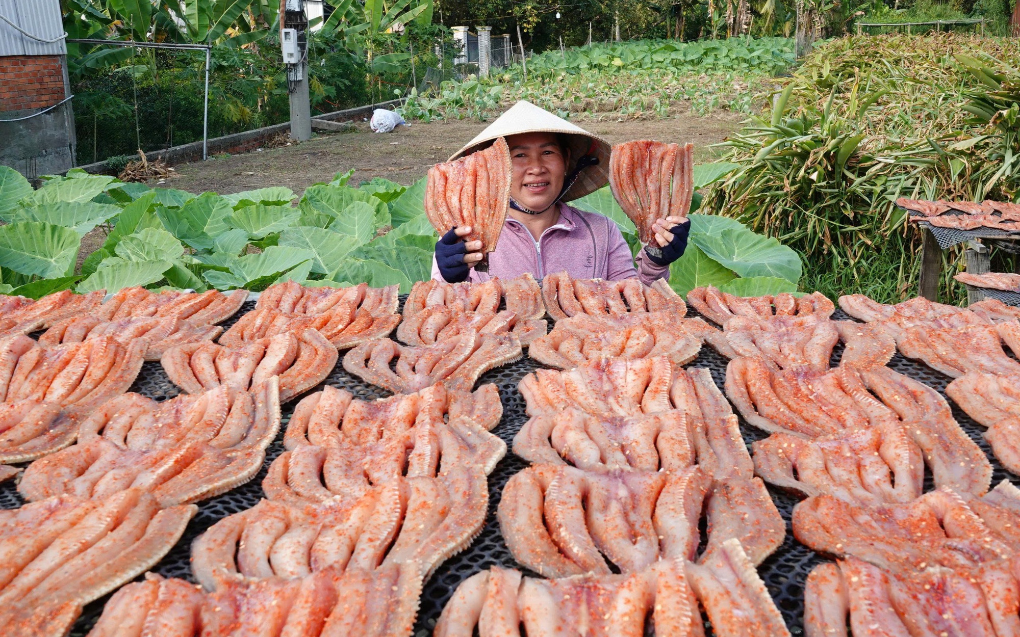"Bật mí" công thức ướp khô cá lóc ở Cần Thơ