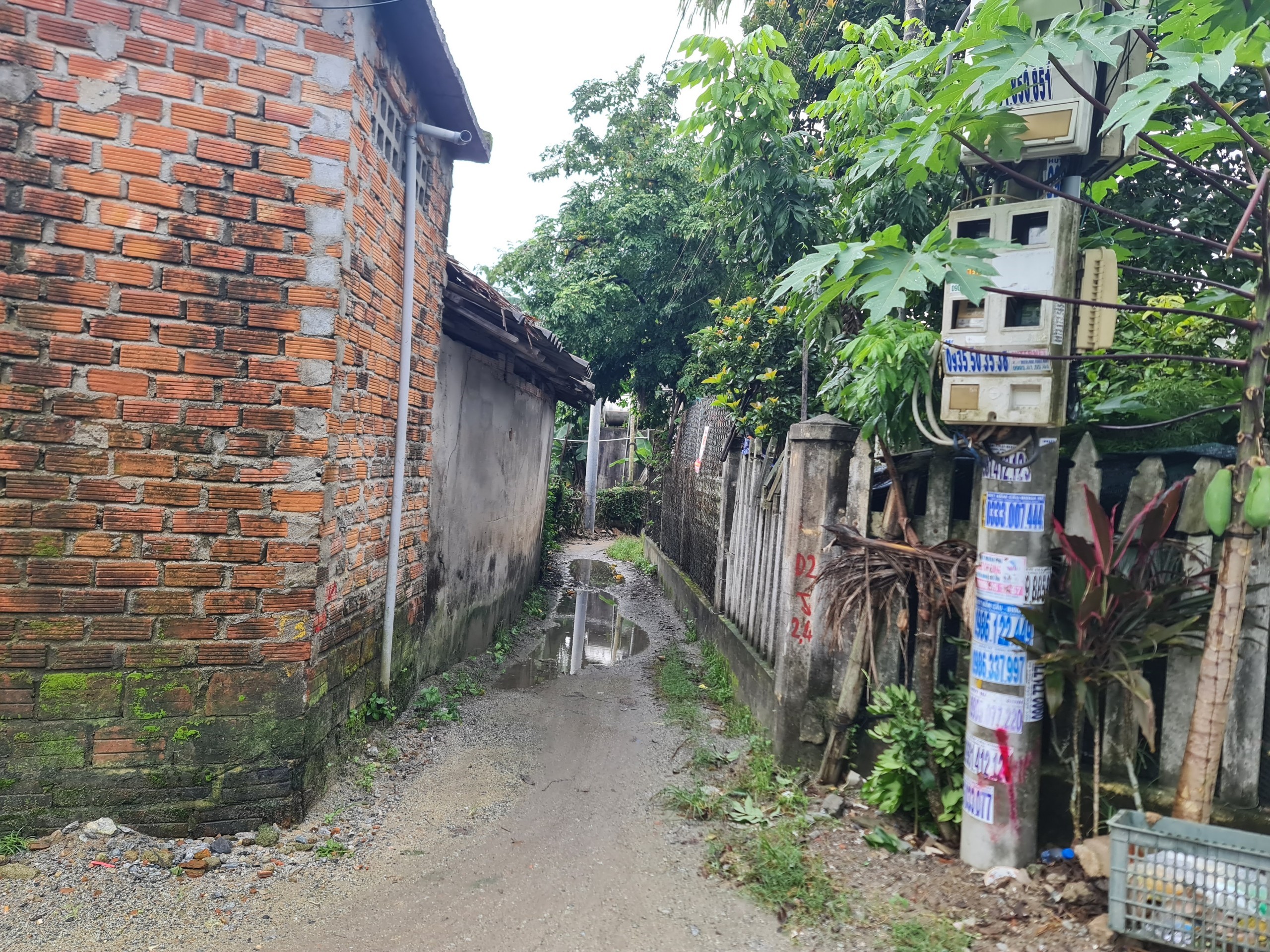 Gỡ vướng dự &aacute;n c&ocirc;ng vi&ecirc;n tr&ecirc;n khu đất "treo" gần 30 năm ở Quảng Ng&atilde;i - Ảnh 2.