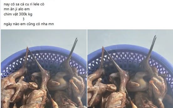 Rao bán động vật rừng trên mạng xã hội, một phụ nữ bị phạt 8,5 triệu đồng