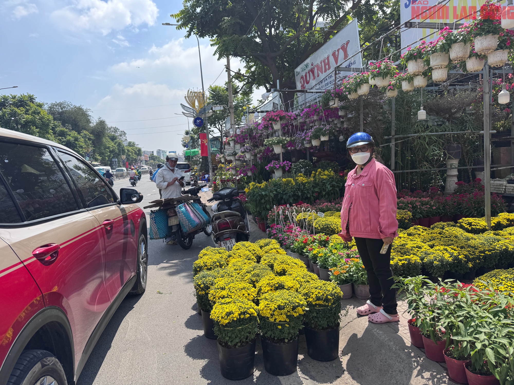 Giá hoa đào Tết 2026 tại TPHCM: Sự bùng nổ về chất lượng và giá cả - Ảnh 14.