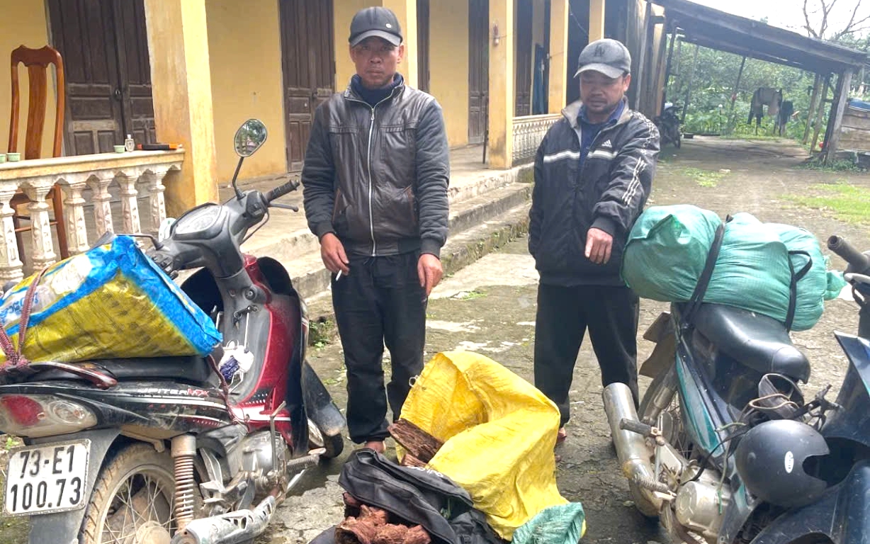 Bắt quả tang 2 người chở 35 kg gỗ "vô danh" mà thương lái Trung Quốc đang săn lùng
