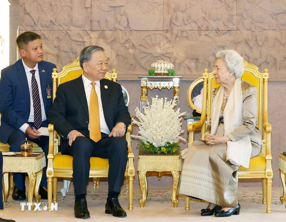 Tổng Bí thư Tô Lâm hội kiến Samdech Techo Hun Sen. - Ảnh 3.