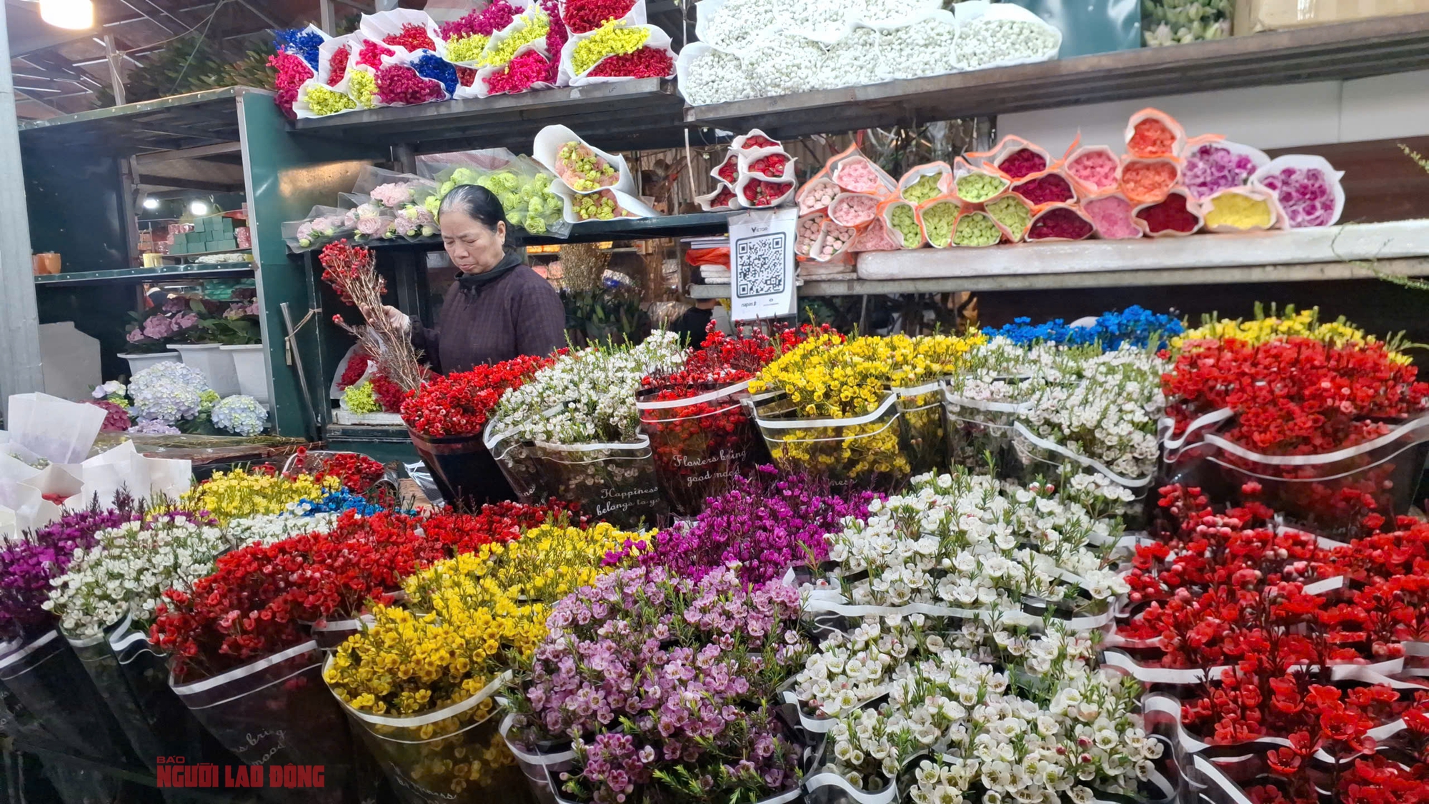 Khám phá chợ hoa Quảng An lớn nhất Hà Nội dịp Tết 2026 - Ảnh 5.