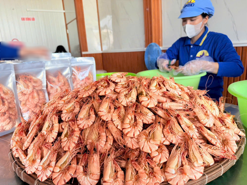 Cà Mau công nhận thêm nhiều sản phẩm OCOP - Ảnh 1.