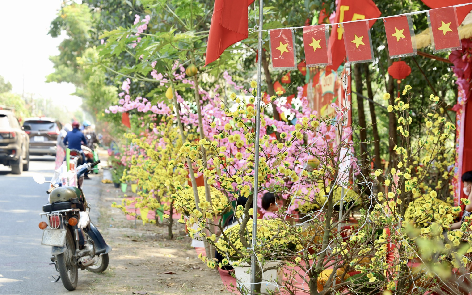 Khai mạc Đường hoa Mai vàng Bình Lợi