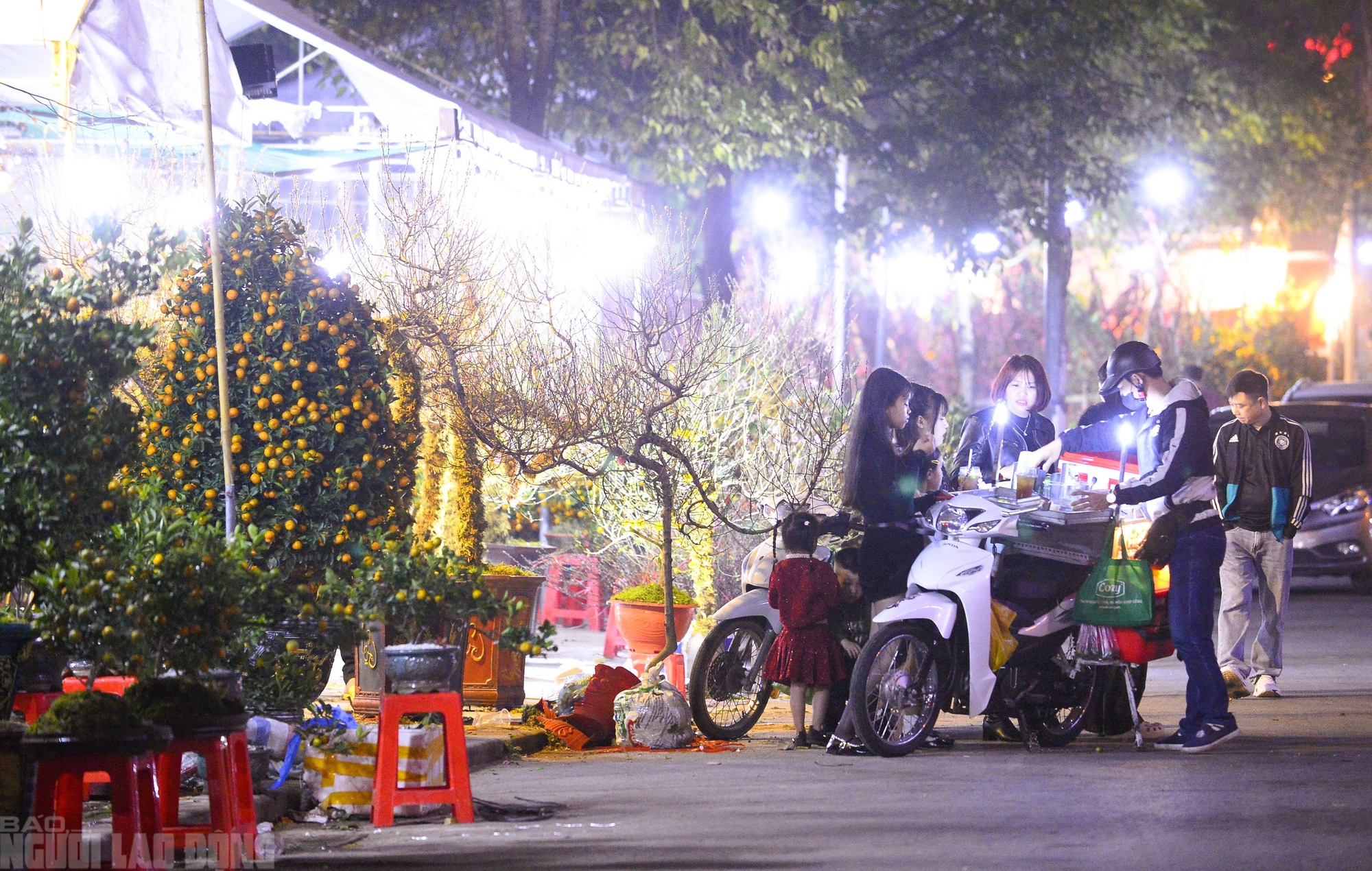Xuy&ecirc;n đ&ecirc;m canh đ&agrave;o, quất trong gi&aacute; r&eacute;t - Ảnh 9.