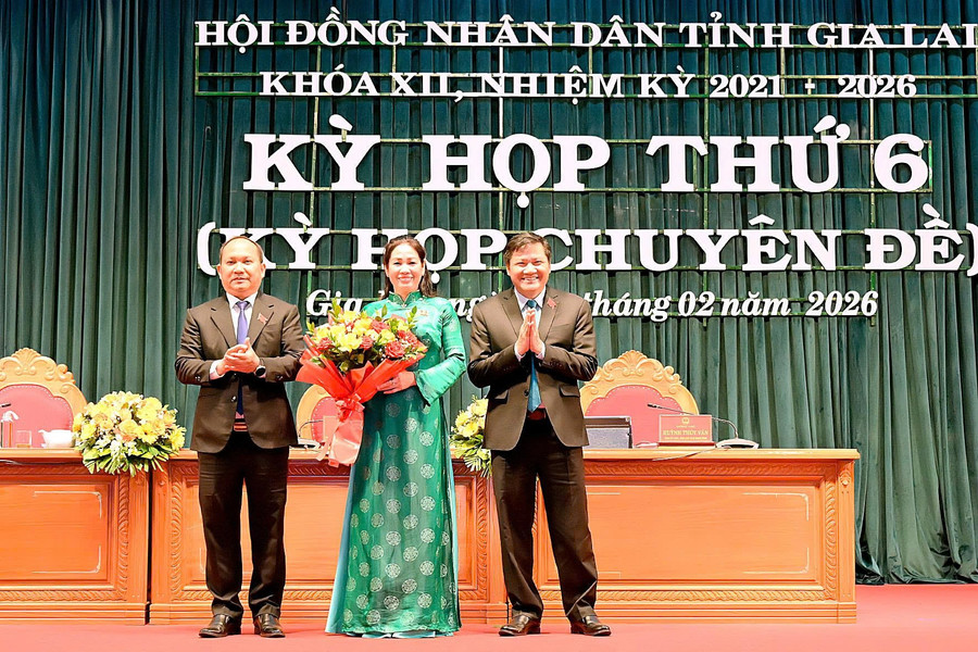 Phó Chủ tịch HĐND tỉnh Gia Lai Huỳnh Thúy Vân được bầu giữ thêm chức vụ mới - Ảnh 1.