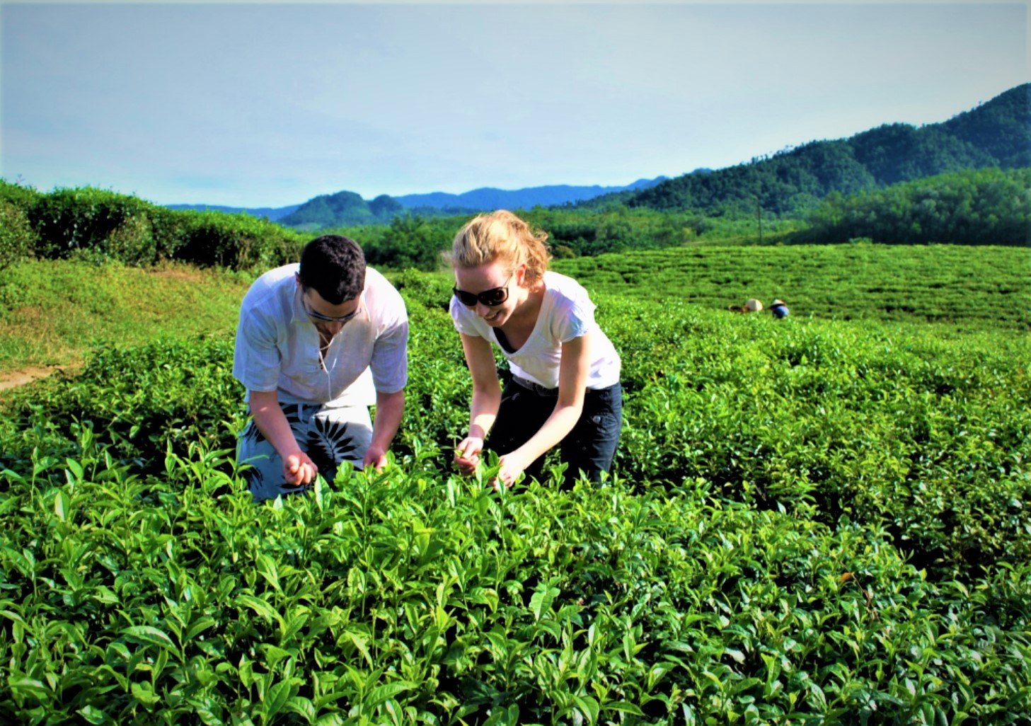 Hương ch&egrave; Quyết Thắng v&ugrave;ng cao - Ảnh 6.