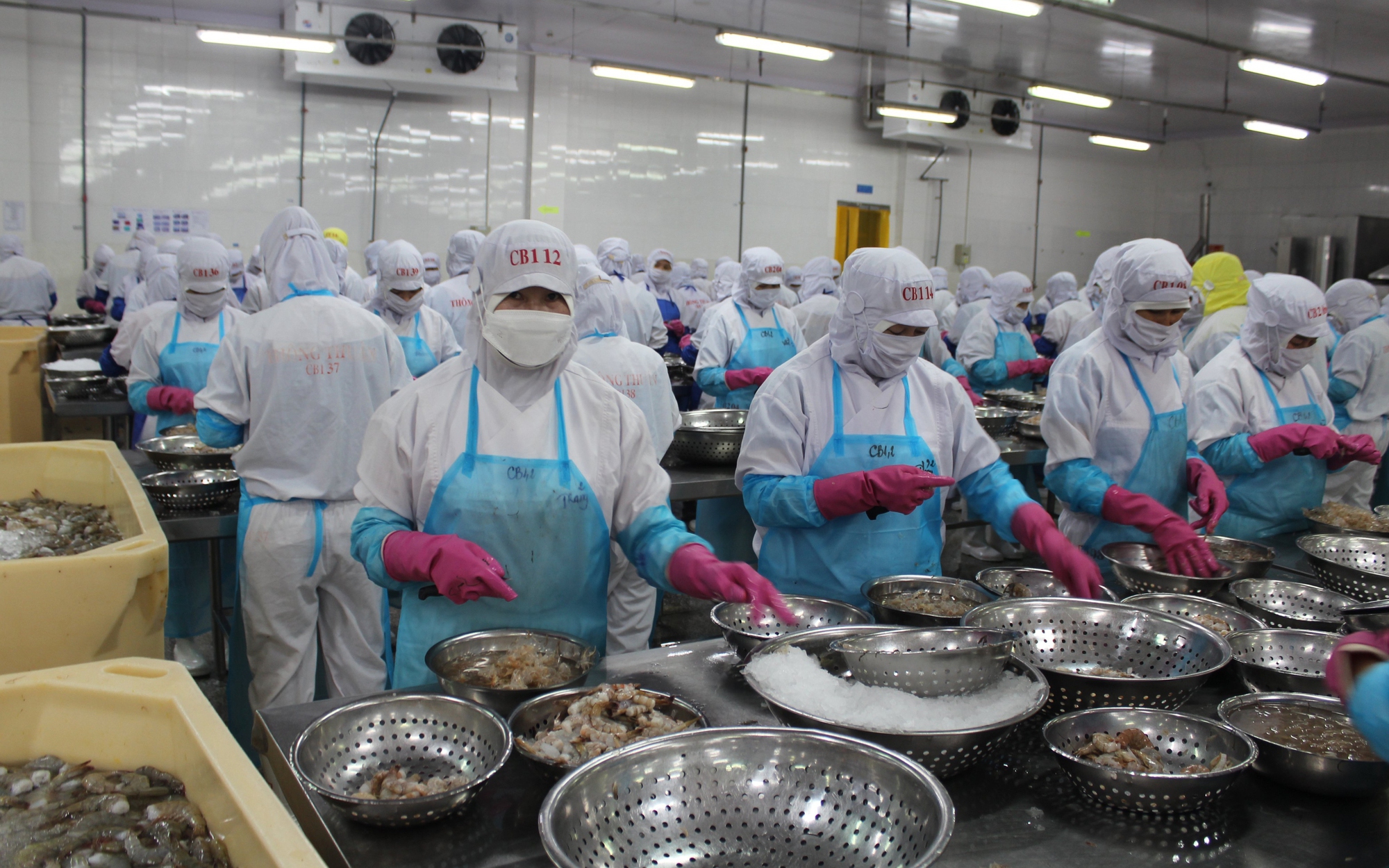 Xuất khẩu nông, lâm, thủy sản có thể giảm hàng tỉ USD vì xung đột ở Trung Đông