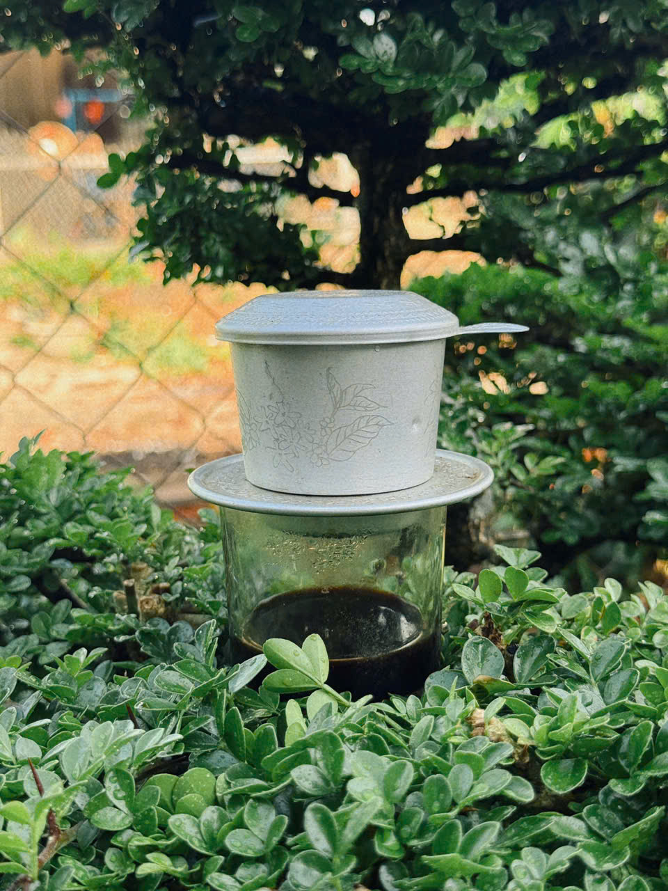 Hương c&agrave; ph&ecirc; trong nh&agrave; d&agrave;i &Ecirc; đ&ecirc; - Ảnh 7.