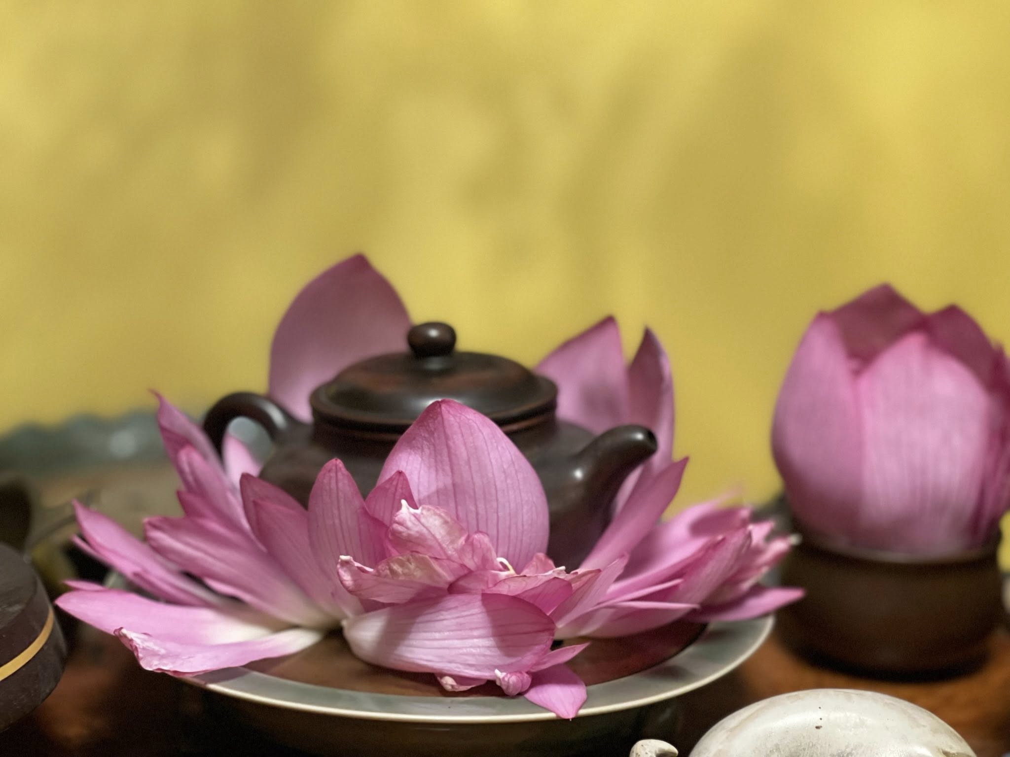 - Ảnh 7.
