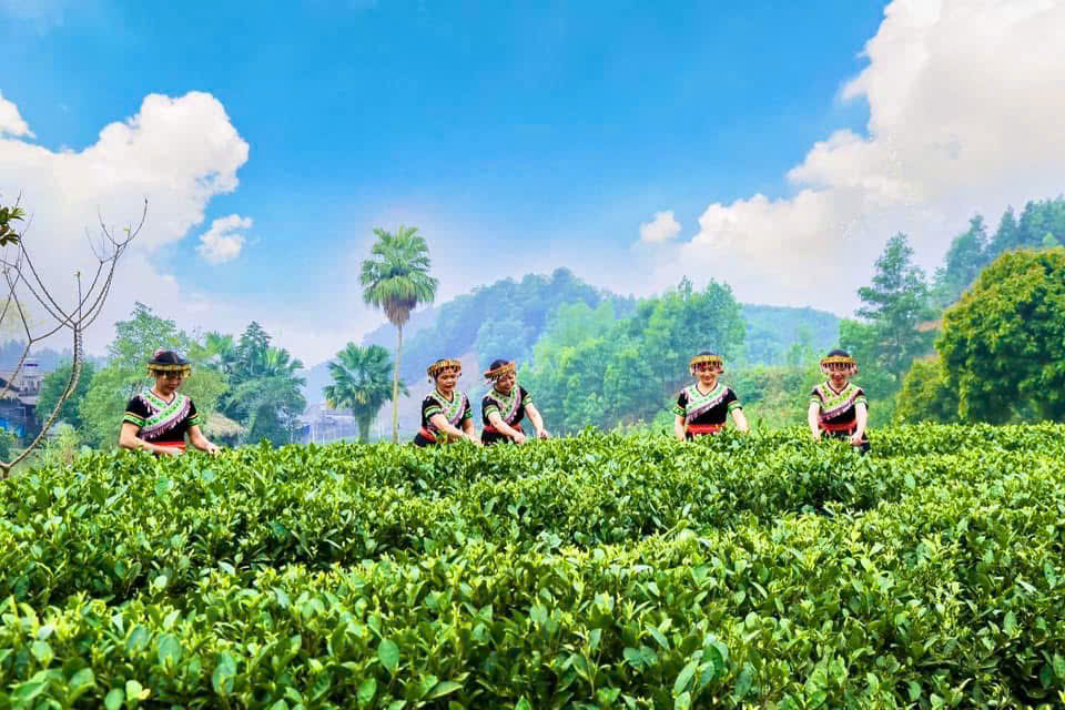Những m&ugrave;a hương tr&ecirc;n vai n&uacute;i - Ảnh 2.