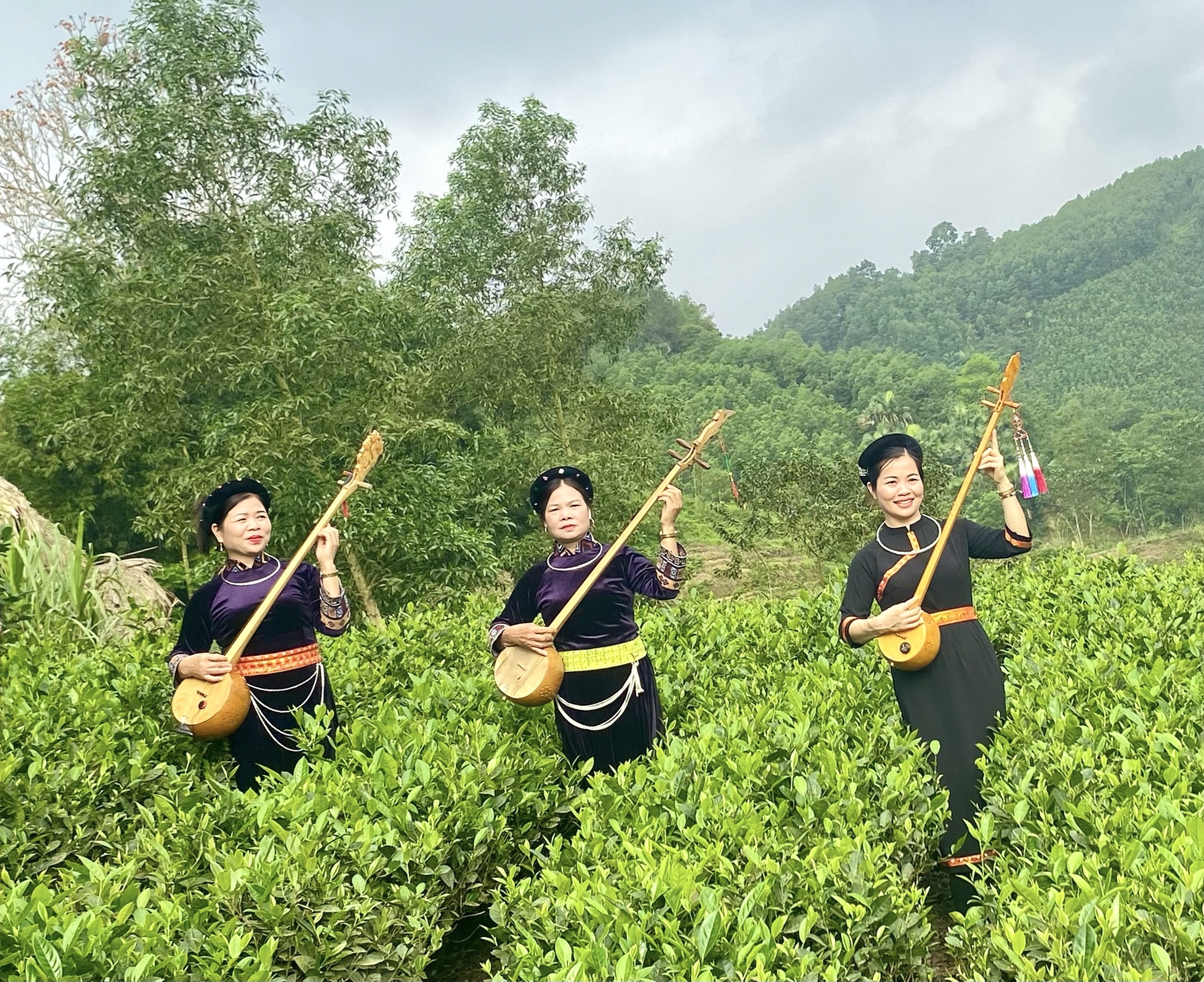 Những m&ugrave;a hương tr&ecirc;n vai n&uacute;i - Ảnh 6.