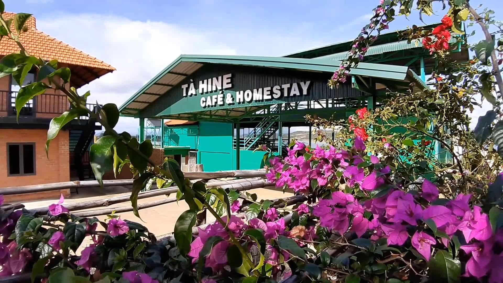 Tà Hine Café - Điểm bình yên trên đường thiên lý - Ảnh 6.