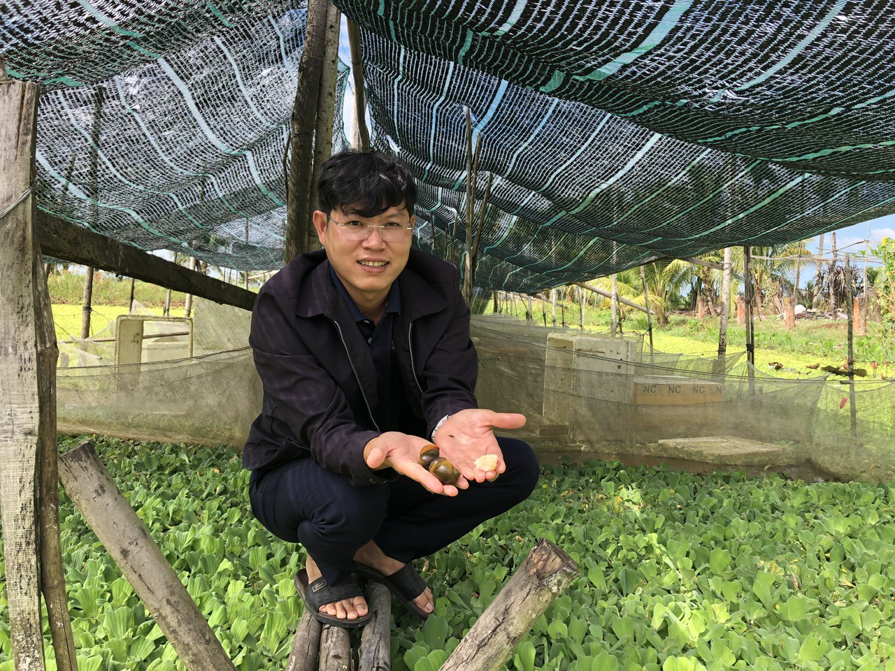 Làm giàu từ nông nghiệp sạch: Khởi nghiệp thành công với ốc và xơ mướp Năm 2026 - Ảnh 1.