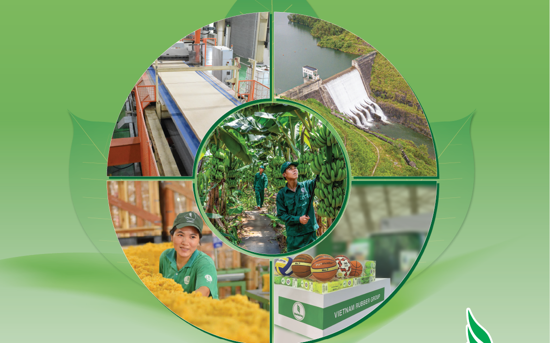 Hiệu quả từ tinh gọn bộ máy, mở rộng dư địa phát triển mới của VRG